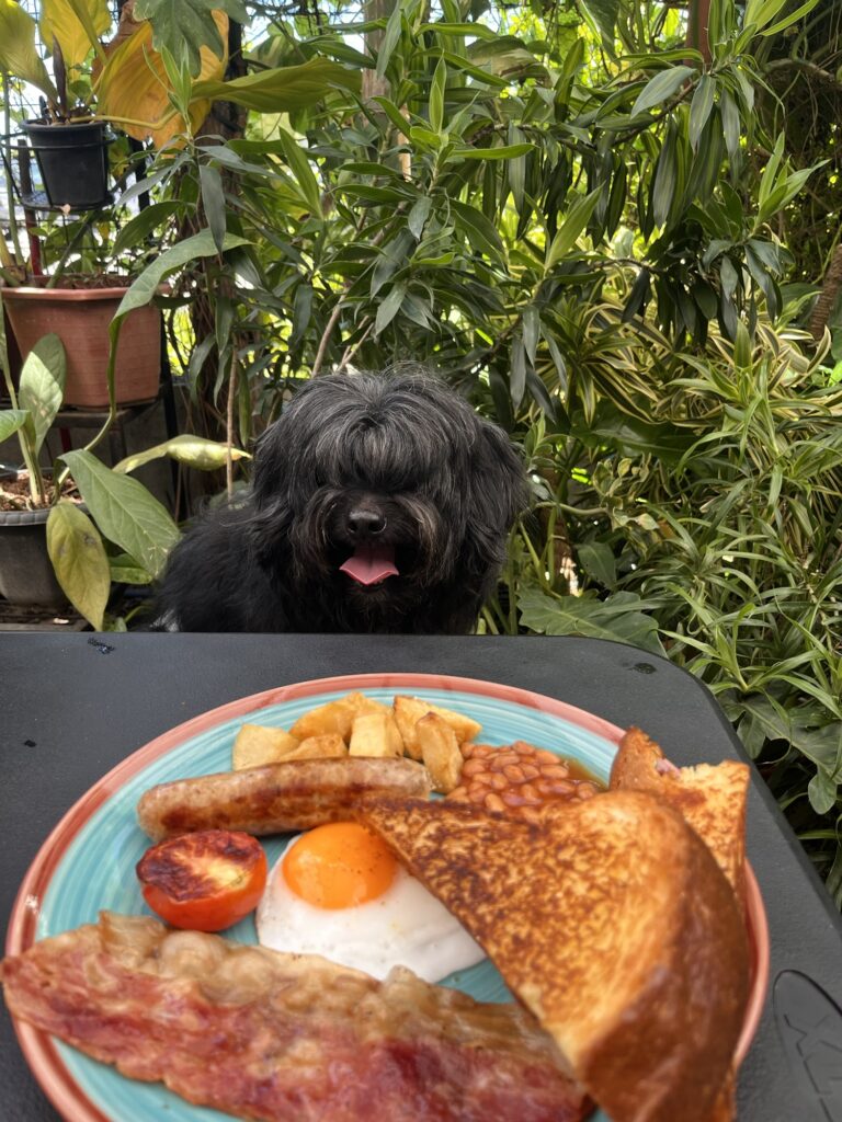Full Taglish breakfast
